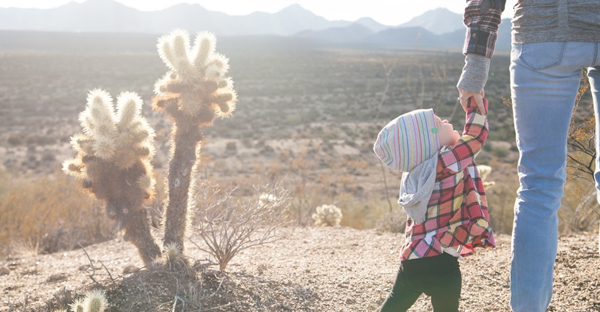 Get Up Close & Personal with the Desert Around You