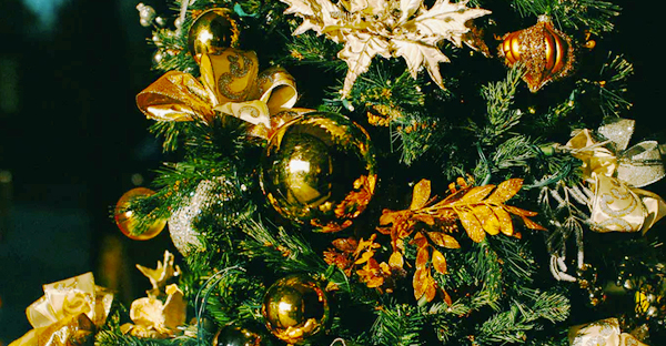 Trendiest Ways to Deck Your Halls for the Holiday Season